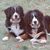 Missy Spitler's profile image