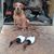 Brian Mauk's profile image