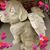 Sonia Prosperi's profile image