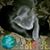 Maru Velez's profile image