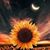 Michelle Anderson's profile image