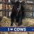 Megan Wehner's profile image