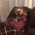 Tonya S Garlick's profile image