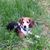 Sherry Pope Bray's profile image