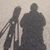 Sharon Peterson's profile image