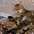 Tricia Lynn Davis's profile image