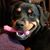 Suzanne Moyer's profile image