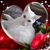Ann Williams's profile image
