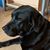 Tracey Parker's profile image