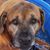 Roxanna M. Nidy's profile image