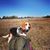 Jen Shafer's profile image