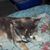 Nancy Esposito's profile image