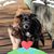 Kristin Darbee's profile image