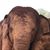Summer Calabro's profile image
