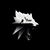 Christopher Hutchinson's profile image