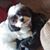 Shirley Frederick's profile image