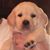 Jack Evers's profile image