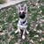 Kathy Simonton's profile image