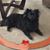Pam Schreier's profile image