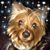 Jo Anna Brown Oakes's profile image