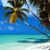 Catherine Willis Coppolo's profile image