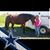 Lori Lovdahl's profile image