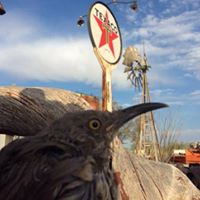 Jeff Eppley's profile image