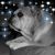 Jami Coak's profile image