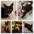 Keryl Ann's profile image