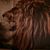 Annajane Rodriguez's profile image