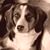 Janet Nulf-Loper's profile image