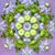 Martha Grissom's profile image