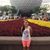 Lisa Ascencio's profile image