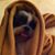 Jane L Shafer's profile image