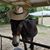 Mindy Cohen's profile image