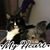 Donna Kelly's profile image