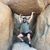 Mark Wieder's profile image