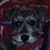 Stef Nixon's profile image