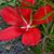 Linda Bargainnier McLendon's profile image