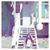 Candace Suero Hoegemeier's profile image