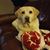 Rick W Wist's profile image