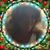 Patsy Lang's profile image