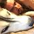 Matthew Nix's profile image