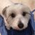 Steven David's profile image