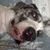 Tarah Tripp's profile image