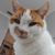 Carrie Beth's profile image