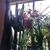 Phyllis Wright Saunders's profile image