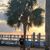 Shannon Tomey's profile image