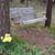 Nancy Hollmer Bailey's profile image