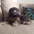 Ana Lucia Salcido Spencer's profile image